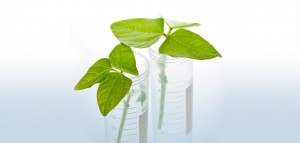 Artificial-v-Natural